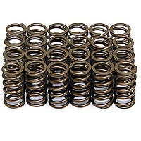 Ferrea Heavy Duty Valve Spring Set OF 24, Dual Spring S10039 (90-96 NISSAN 300ZX)